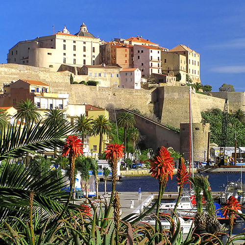 Calvi